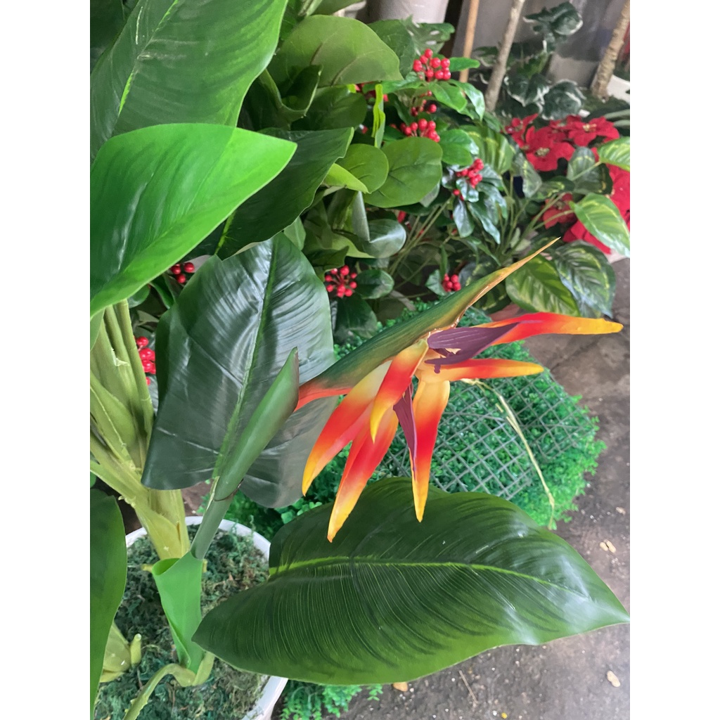 Cây giả cây thiên điểu 1met5 trang trí nhà cửa