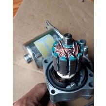 Củ đề cao cấp dream wase