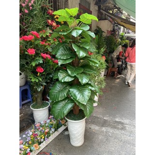 Cây giả cây trầu bà cột trang trí nhà cửa bền đẹp hoa giả