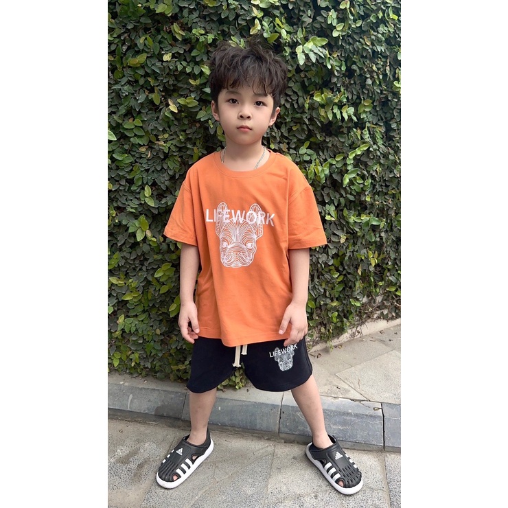 🔥SALE SỐC💯 Sét cotton hè cho bé (có sz Đại) Chó LW Cam 2BKids