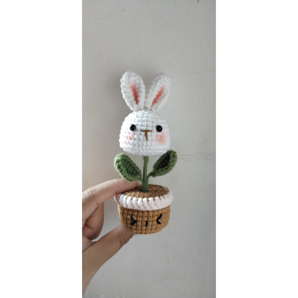 Chậu hoa đầu thỏ/ heo len