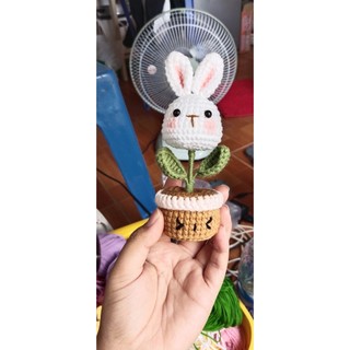 Chậu hoa đầu thỏ/ heo len
