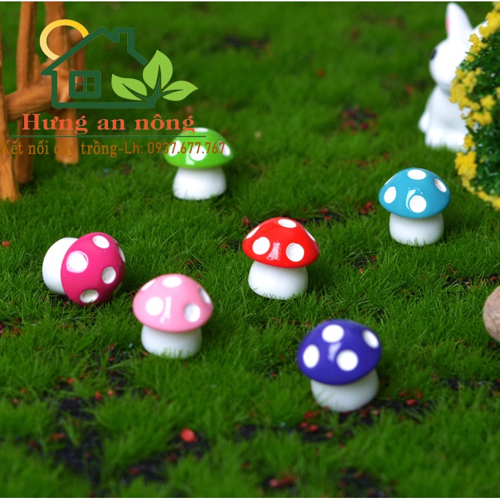TT26 - nấm nhiều màu mini trang trí tiểu cảnh sen đá, xương rồng, bonsai, cây để bàn