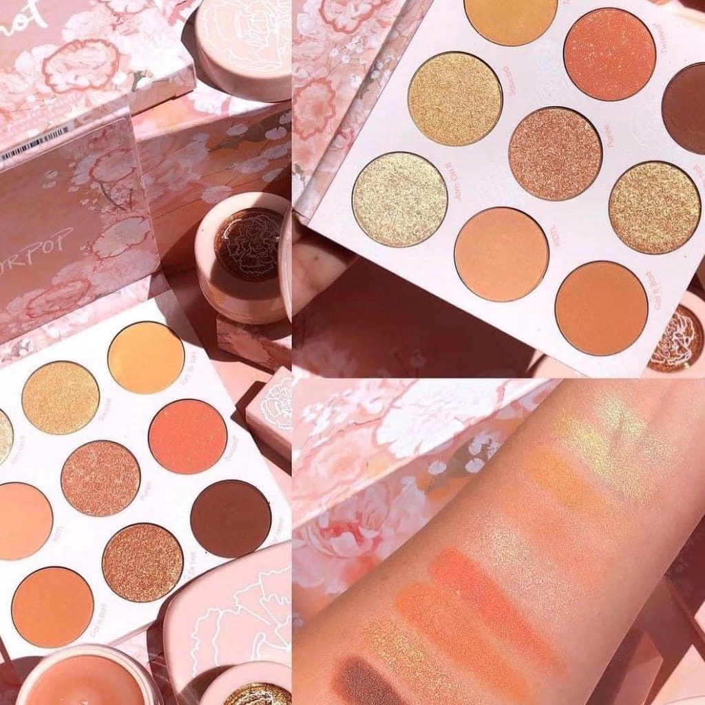 Bảng màu mắt Colourpop Apricot Me Not