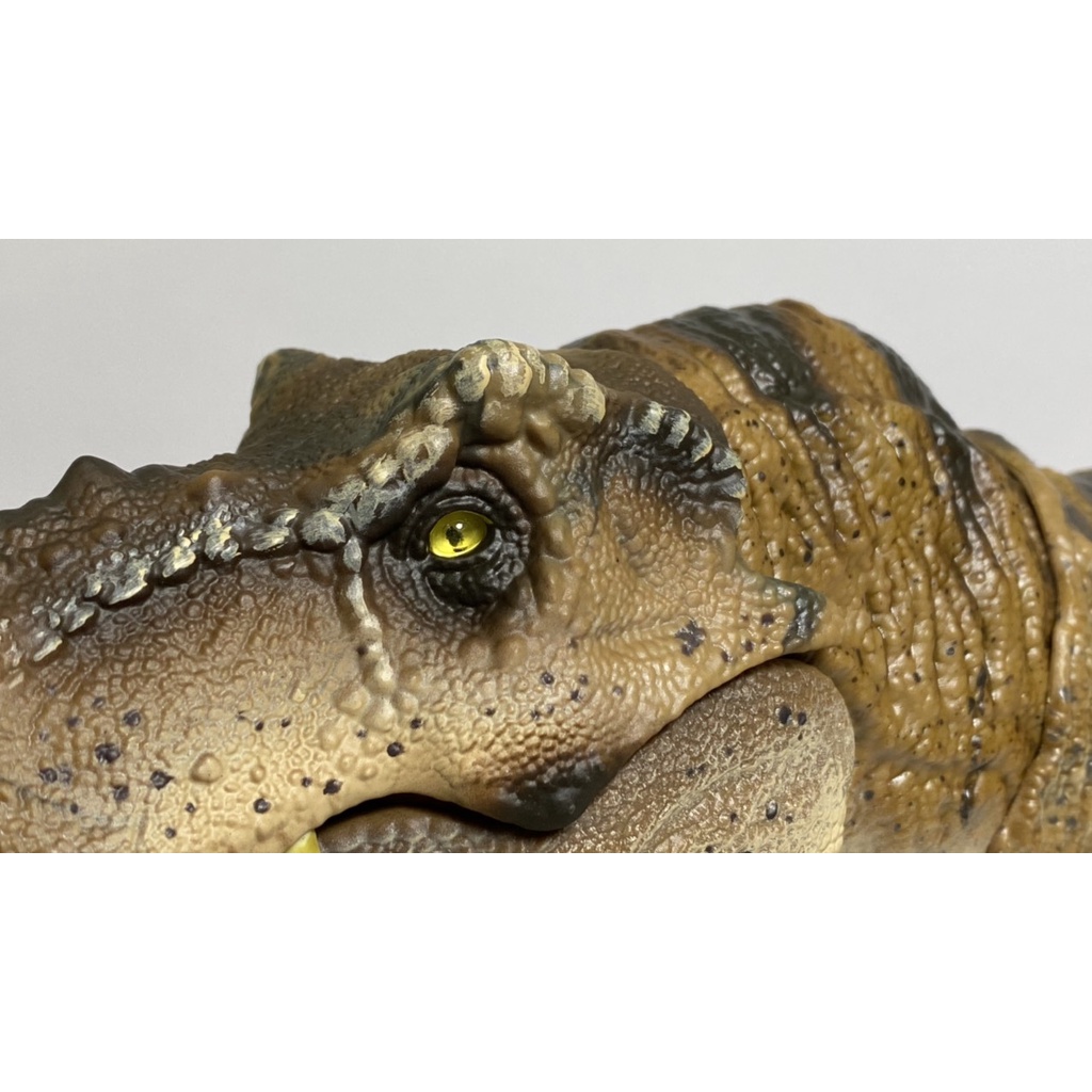 Mô hình khủng long bạo chúa HAMMOND COLLECTION TYRANNOSAURUS