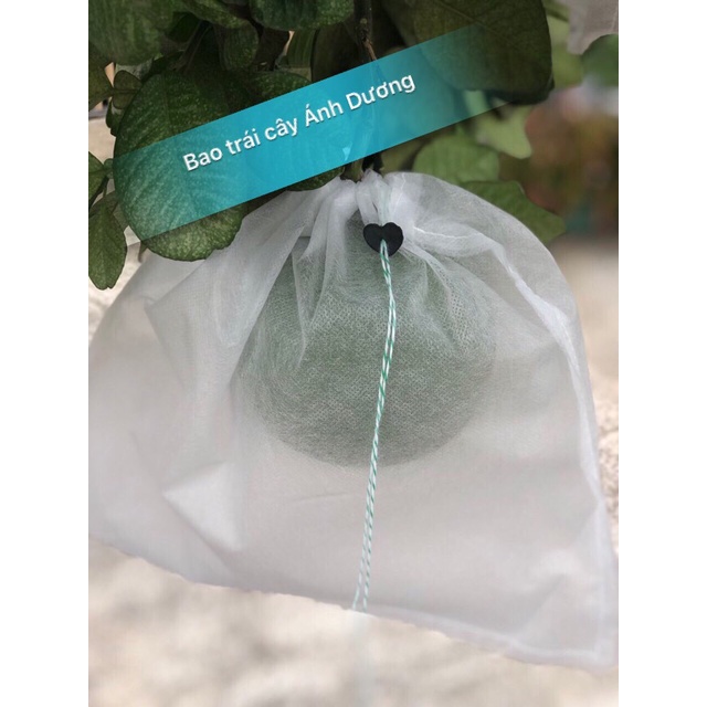 Túi bọc trái xoài cát chu, xoài cát Hòa Lộc, bưởi, chùm mận KT 22x30c, 30x30cm  - Túi bao trái cây Ánh Dương