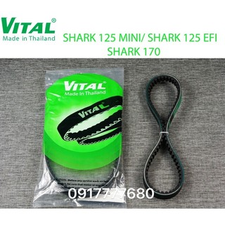 Dây curoa shark, shark 125 mini, shark 125 efi ,shark 150 ,shark 170 hiệu vital - dây curoa vital chính hãng thái lan