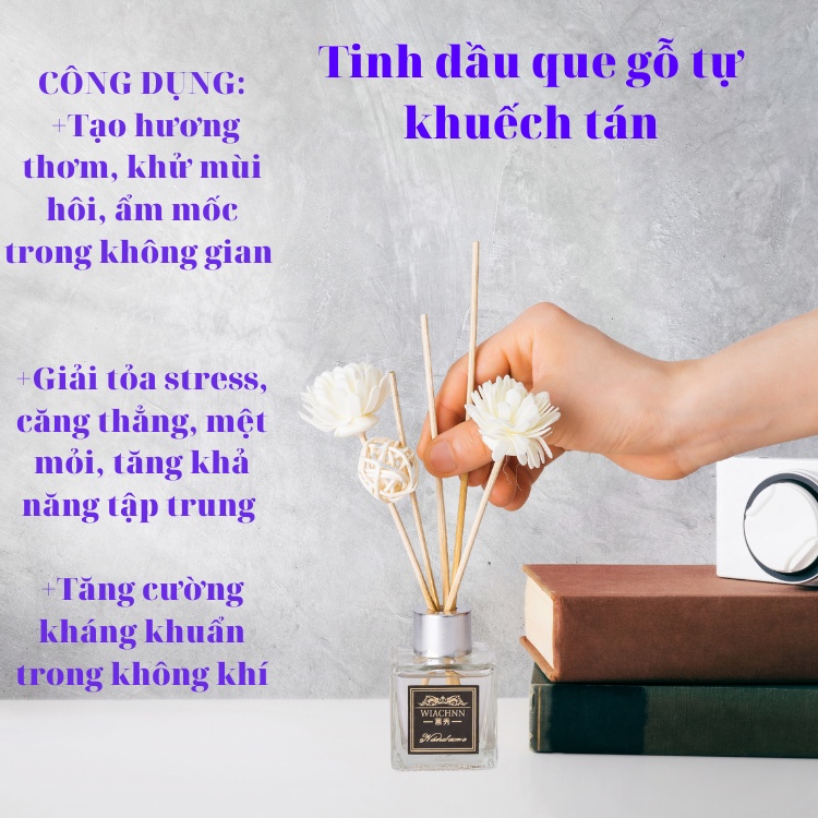 Tinh dầu thơm phòng que gỗ tự khuếch tán WIACHNN phong cách cổ điển, khử mùi hôi, thanh lọc không khí CD50