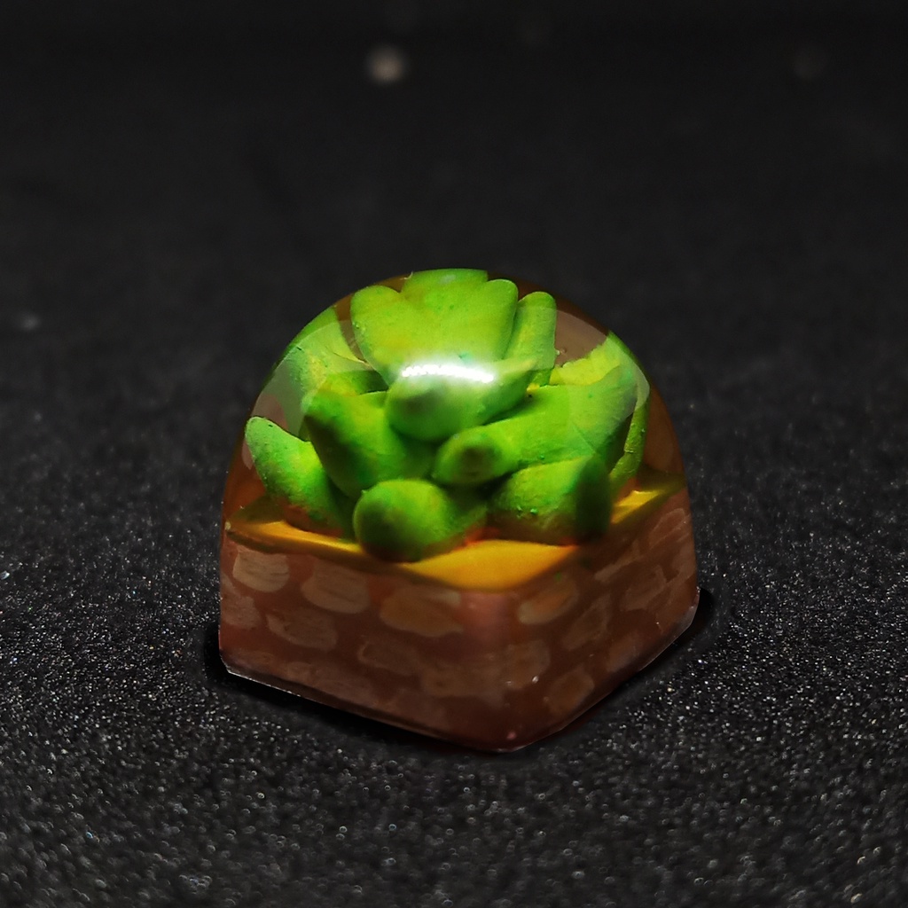 Mua Keycap Sen Đá DOM Doodle Caps Handmade Keycap Artisan Trang Trí Bàn ...