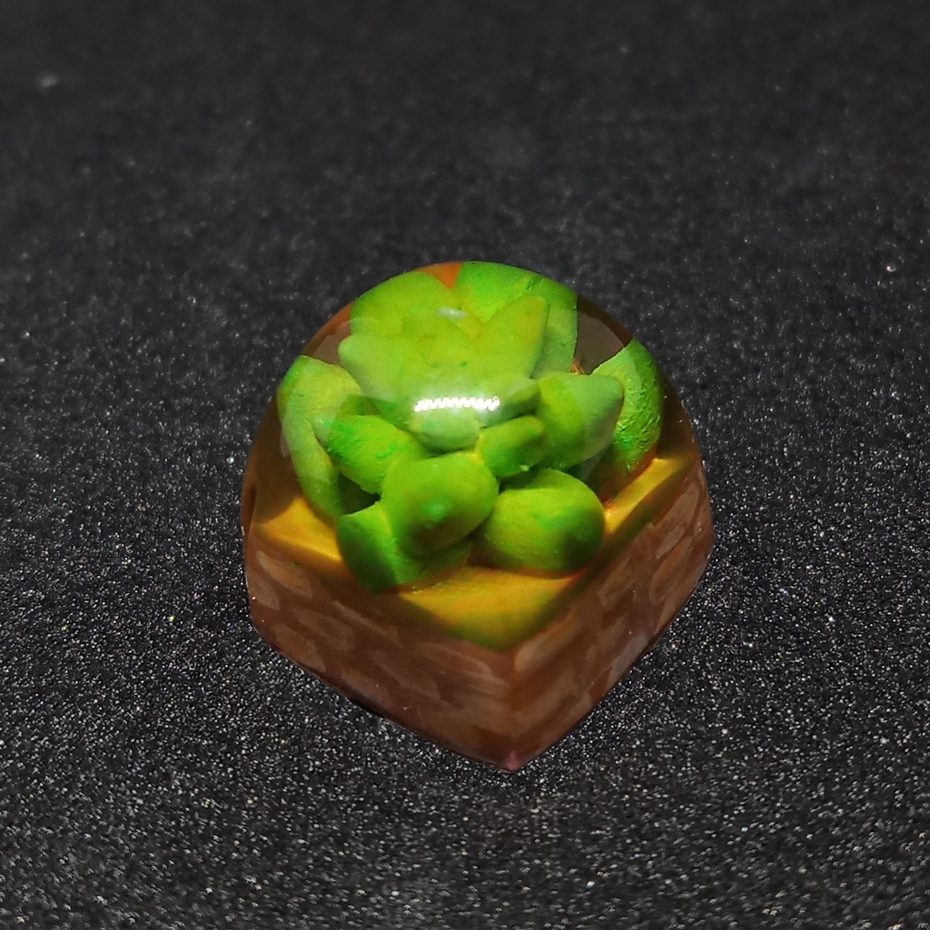 Mua Keycap Sen Đá DOM Doodle Caps Handmade Keycap Artisan Trang Trí Bàn ...