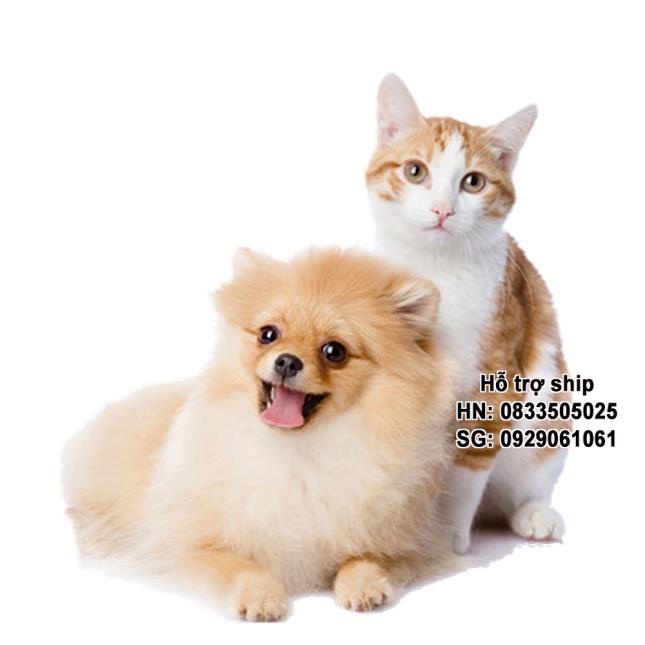 Hanpet sạch giun chó mèo
