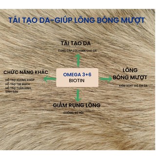 𝐆𝐋𝐎𝐒𝐒𝐘 𝐂𝐎𝐀𝐓 Bổ Da Lông (Omega 3,6 và Biotin) Giảm rụng lông - viêm da