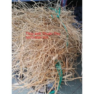 Lũa rễ rừng dẻo 100g - lũa setup bể thuỷ sinh
