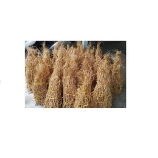 Lũa Rễ Rừng dẻo 100g - Lũa Setup Bể Thuỷ Sinh