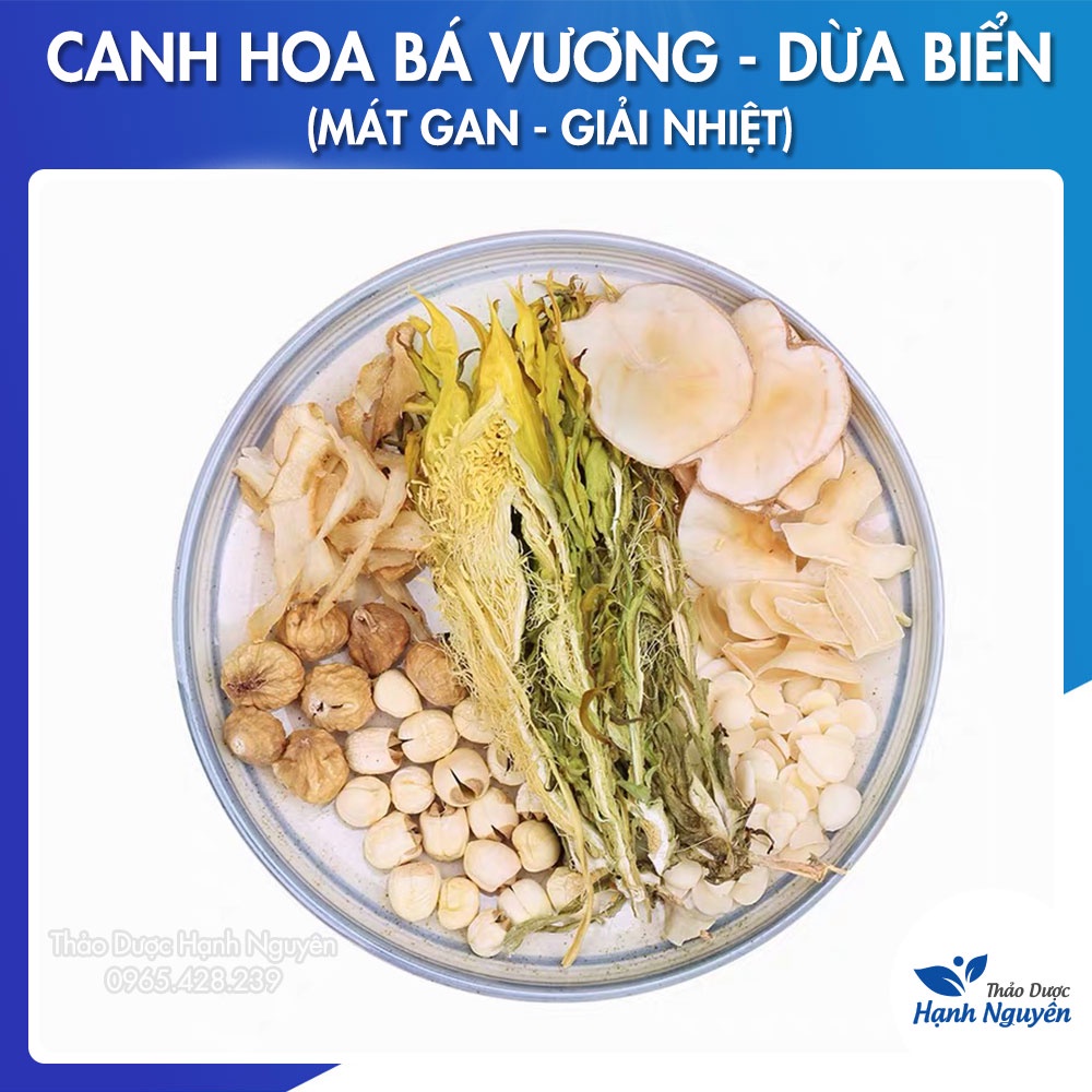 Canh hoa bá vương dừa biển (Canh mát gan, giải nhiệt, giúp ăn ngon miệng tốt cho trẻ nhỏ) - Thảo Dược Hạnh Nguyên