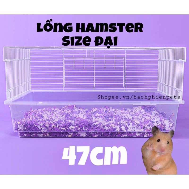 Lồng hamster size đại 47cm, lồng cho chuột lang, bọ ú, lồng nhím (không kèm phụ kiện) - Bạch phiến Pets