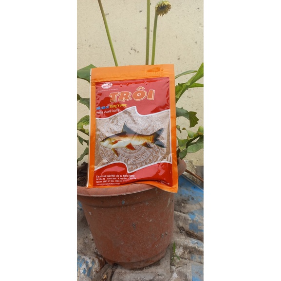 mồi câu cá trôi hùng vương