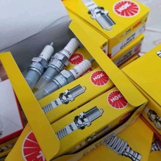 Buggi NGK chân ngắn chân dài