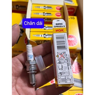 Buggi NGK chân ngắn (c5,c7) chân dài (c9)