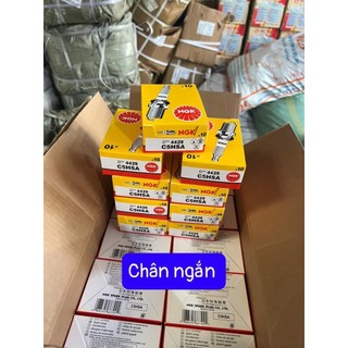 Buggi NGK chân ngắn (c5,c7) chân dài (c9)