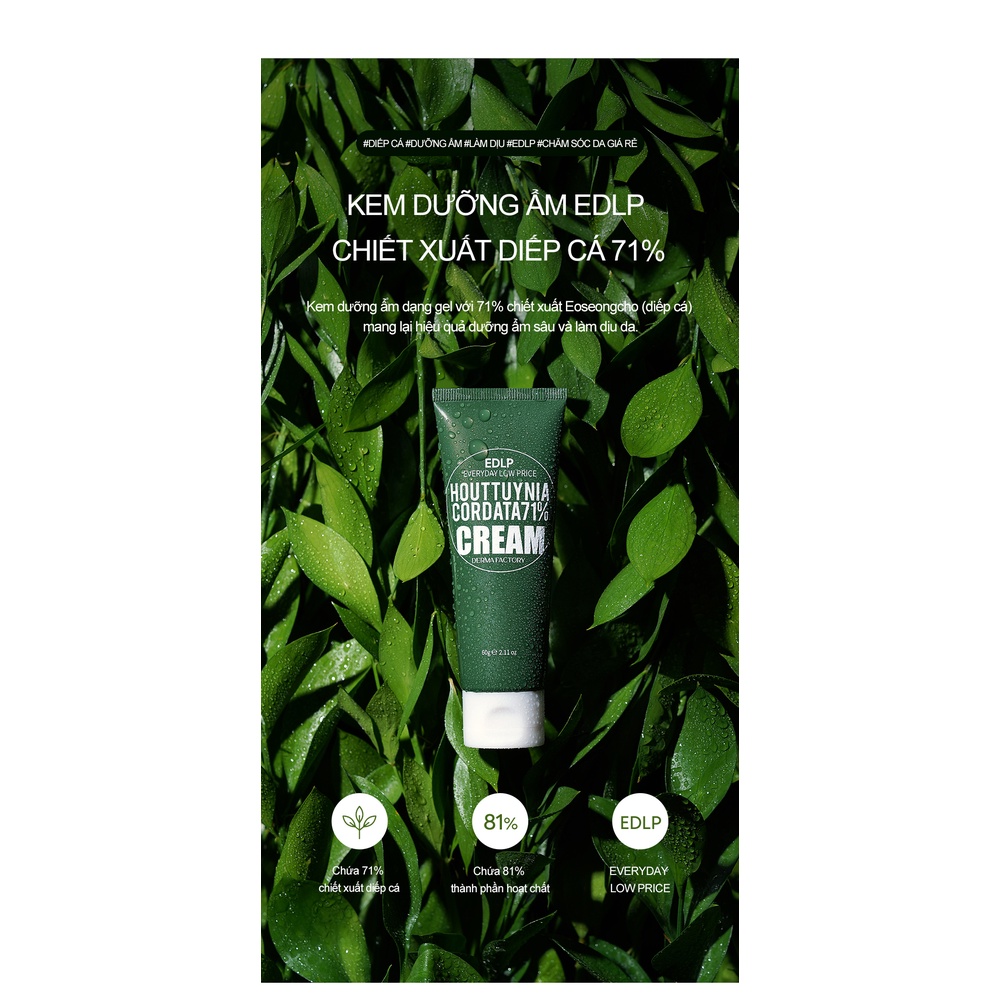 [Derma Factory[ Kem Dưỡng Ẩm Diếp Cá Houttuynia Cordata 71% Cream 60g