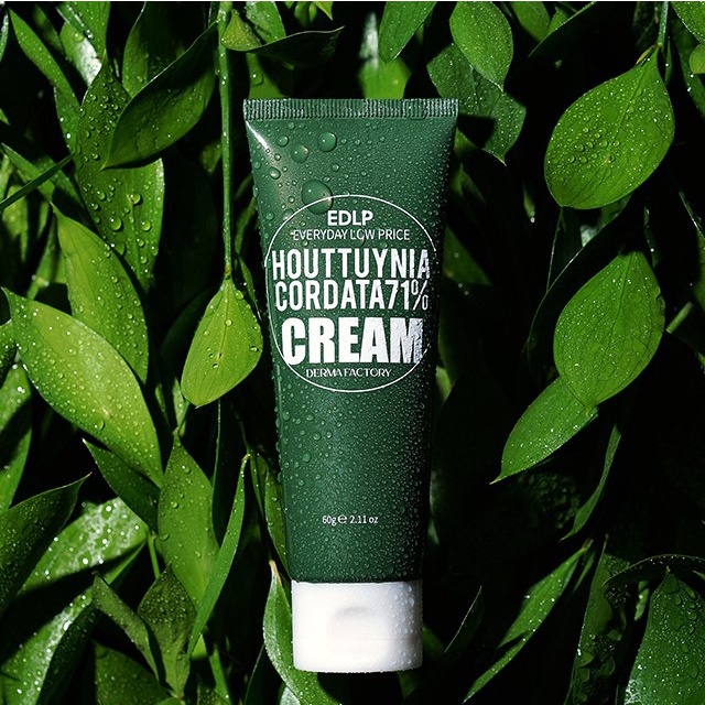 [Derma Factory[ Kem Dưỡng Ẩm Diếp Cá Houttuynia Cordata 71% Cream 60g