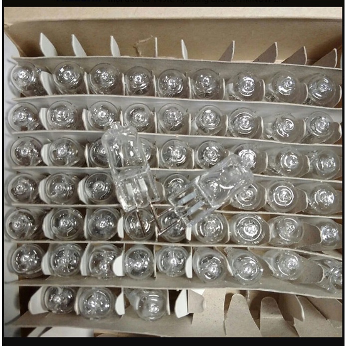 Bộ 10 Bóng Đèn Halogen Cho Đèn Xông Tinh Dầu 12V 20W