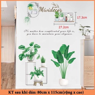 Decal dán tường cây xanh mividecor