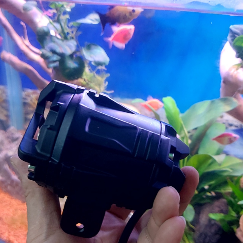 Đèn trợ sáng bmu S40 và p70  cos vàng pha trắng có laze