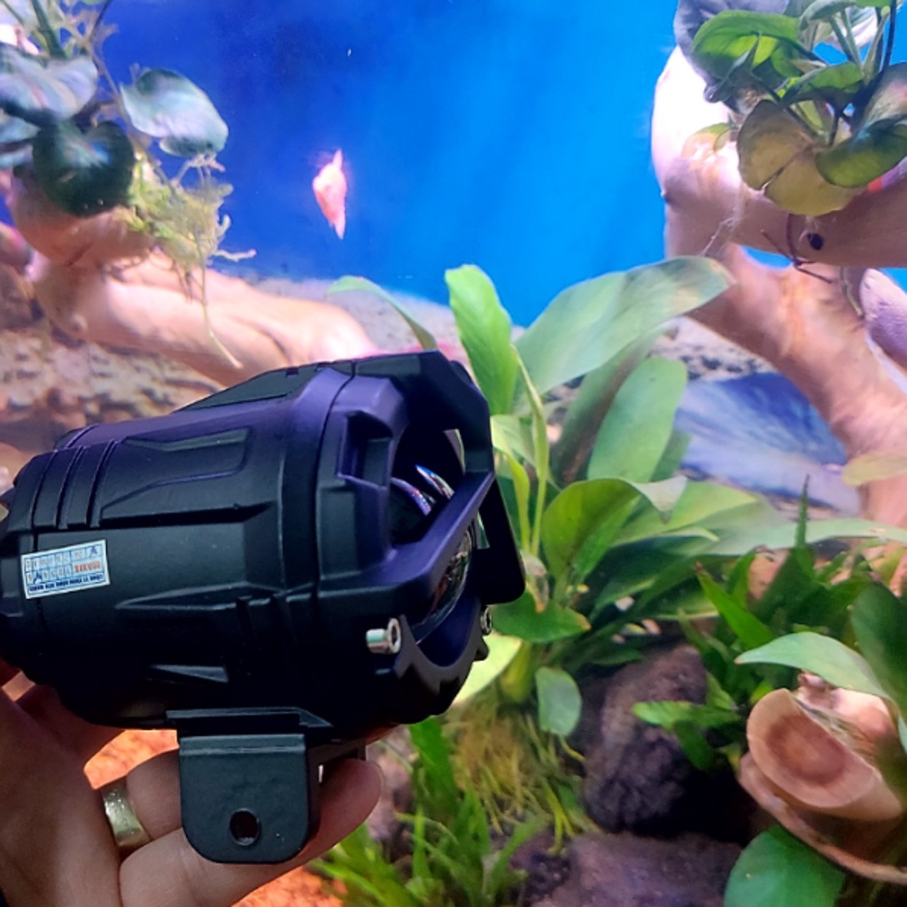 Đèn trợ sáng bmu S40 và p70  cos vàng pha trắng có laze