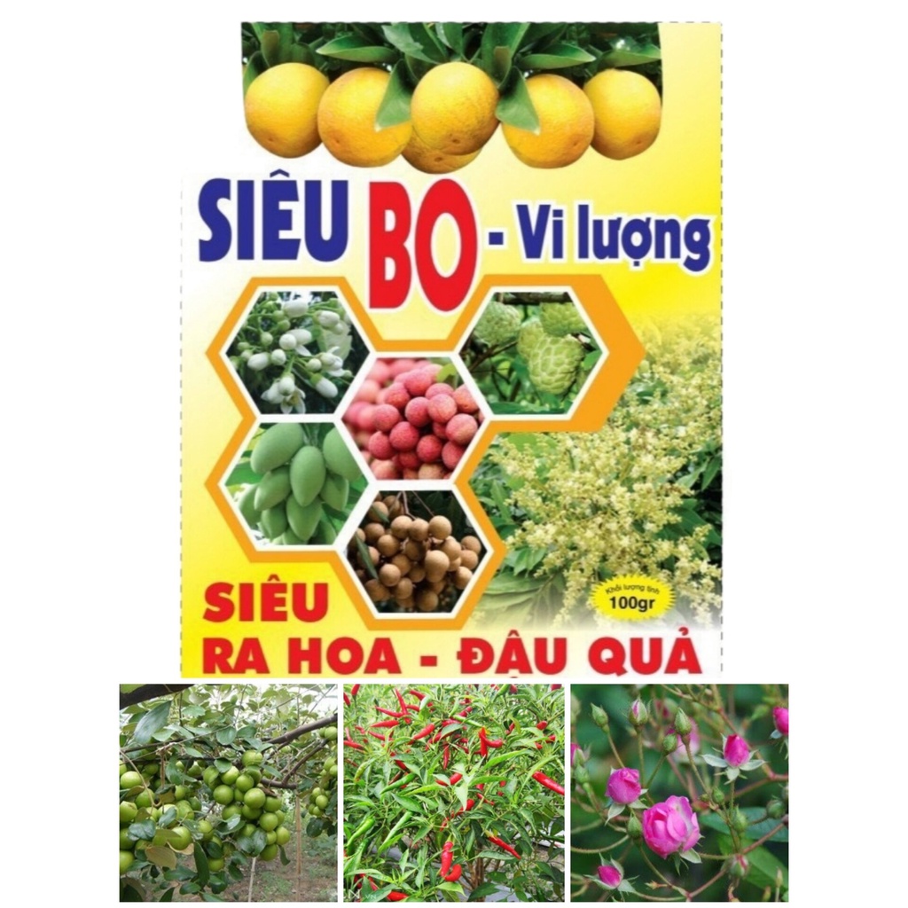 SIÊU LÂN 60 GIỮ HOA LÂU TÀN