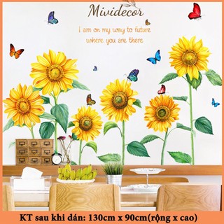 Decal dán tường MIVIDECOR hoa hướng dương