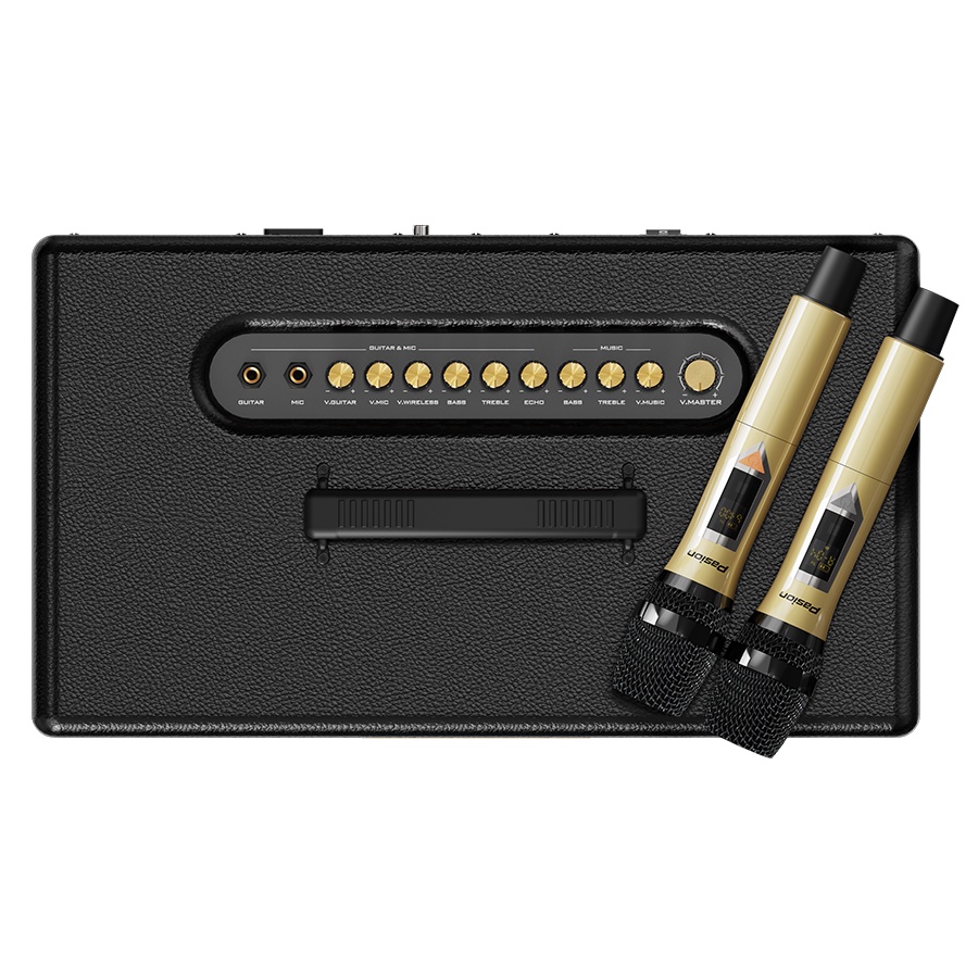 Loa karaoke Paramax Pasion, loa xách tay bluetooth công suất 400w