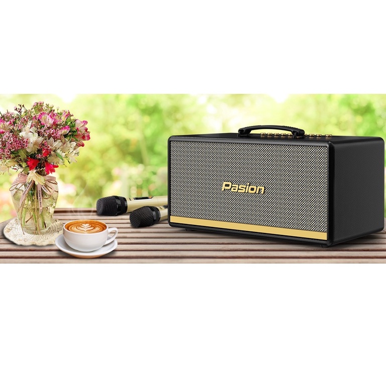 Loa karaoke Paramax Pasion, loa xách tay bluetooth công suất 400w