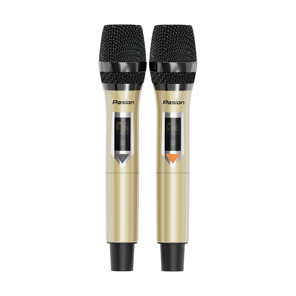 Loa karaoke Paramax Pasion, loa xách tay bluetooth công suất 400w