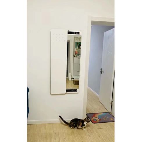 Gương trượt giấu kín kết hợp vách treo đồ G23