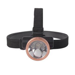 Đèn led pin đội đầu 1w-3w-5w rạng đông