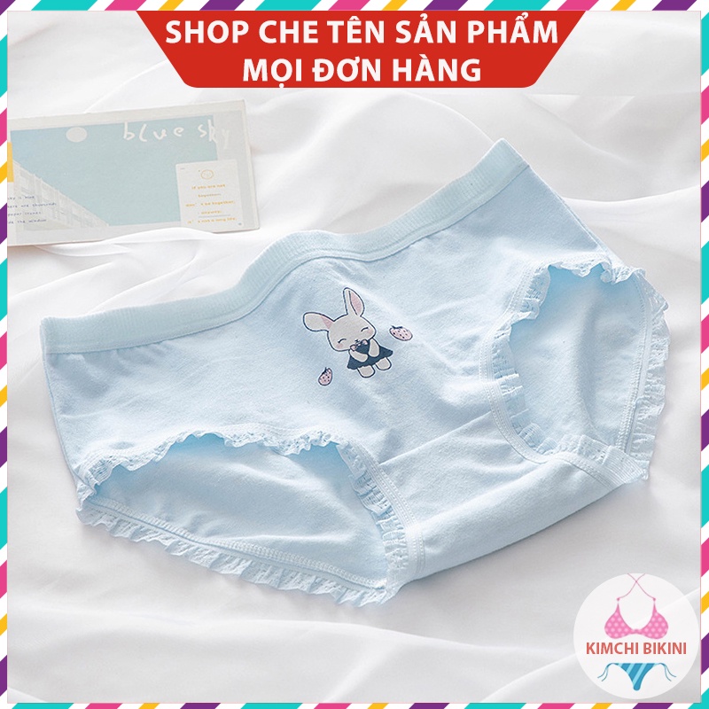 Quần con nữ cotton cạp thấp chống viêm KIMCHIBIKINI quần nhỏ nữ cao cấp in hình dễ Thương QL038