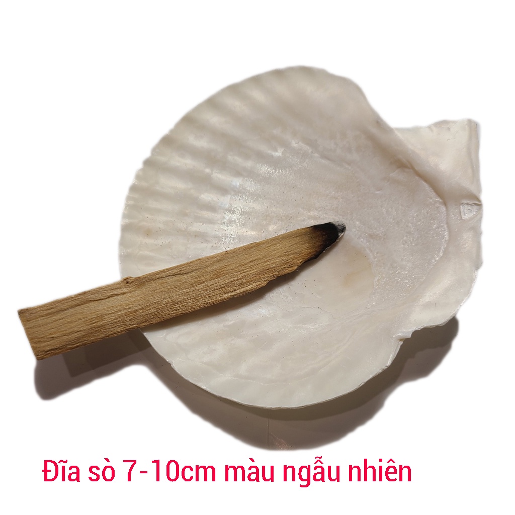 Combo thanh tẩy Bó lá xô thơm các loại - palo santo 10cm 5-6gr Song An Eco