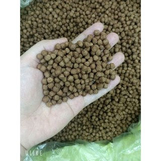 cám cá koi new 5kg