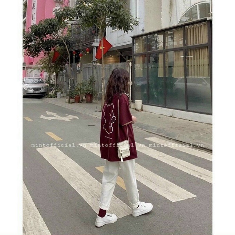 Áo phông Gấu CLEV THA757