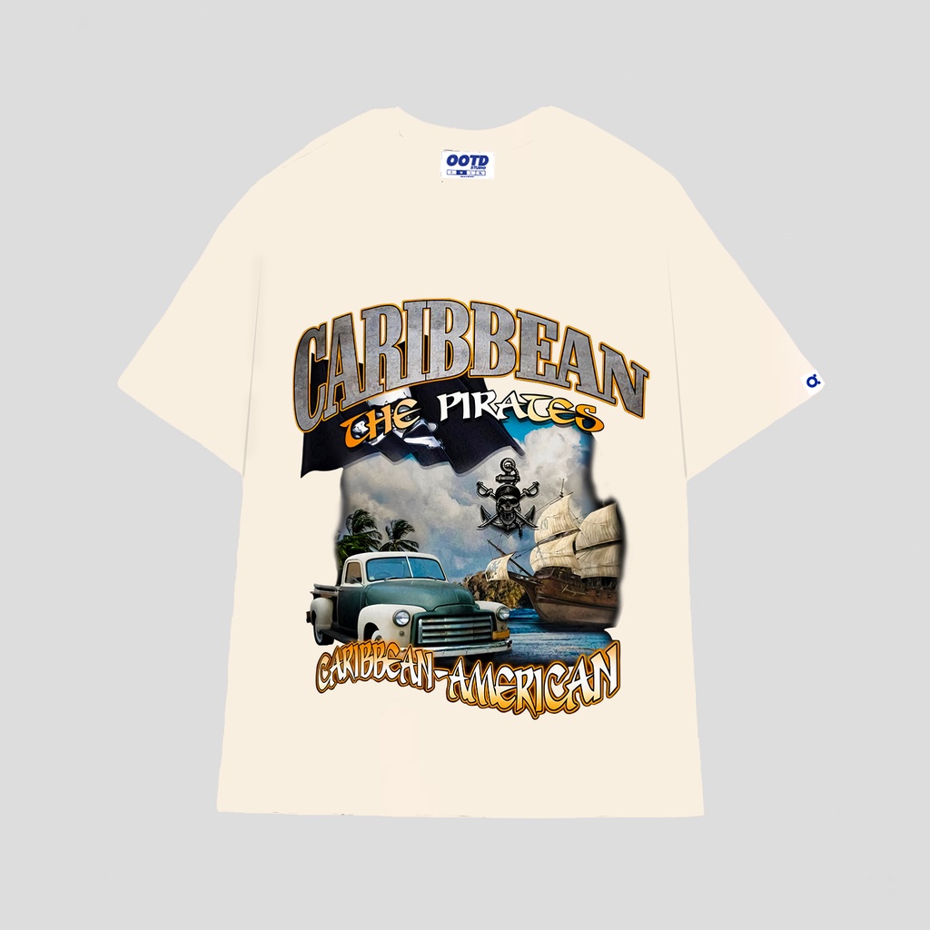 Áo thun CARIBEAN Basic Tee phông nam nữ tay lỡ