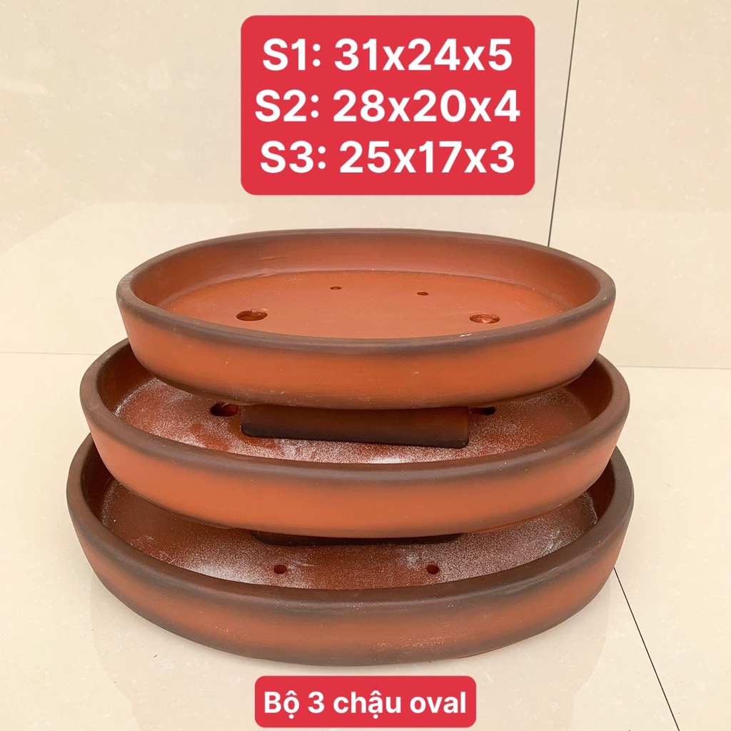 Chậu oval bonsai cây cảnh màu đỏ 3 size SP570