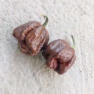 3 Hạt Ớt 7 Pot Chocolate