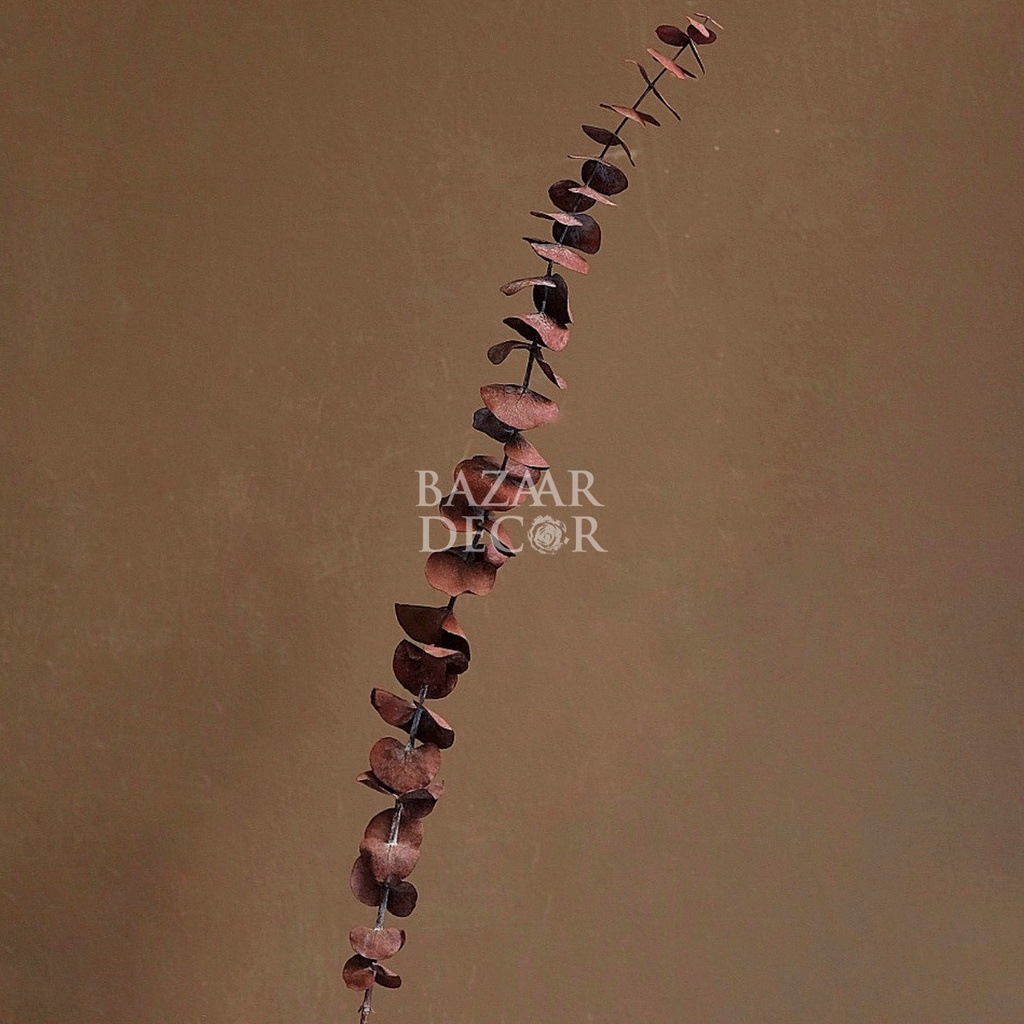 Cành lá khuynh diệp sấy khô loại dài nguyên cành 60cm | Hoa khô Eucalyptus | 1 cành