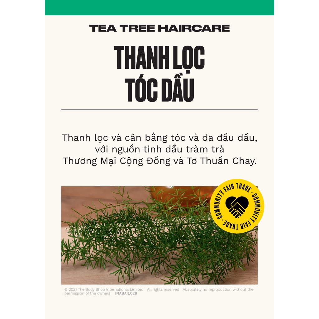 Dầu Gội Tràm Trà The Body Shop Tea Tree Purifying and Balancing Shampoo 250ml