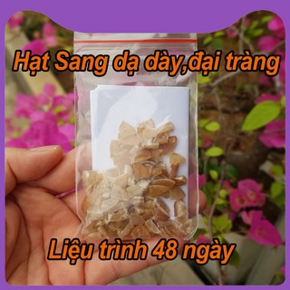 Liệu trình 48 ngày hạt Sang hạt Sành hỗ trợ đau dạ dày trào ngược đại tràng vi khuẩn HP..