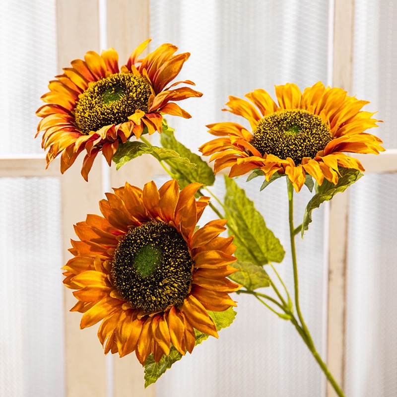 Xô thiếc vintage hoa hướng dương