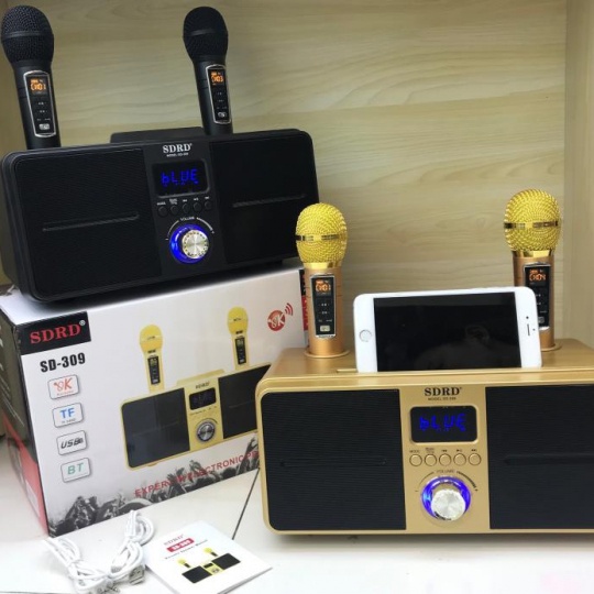 Loa Karaoke SD-309 Tặng Kèm 2 Mic Ko Dây Có Màn Hình Led, Thiết Kế Nhỏ Gọn Dễ Mang Đi ( hạn bảo hành 6 tháng )