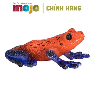MÔ HÌNH ĐỘNG VẬT - ẾCH PHI TIÊU ĐỘC